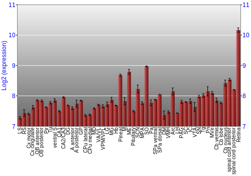 Expression graph