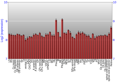Expression graph