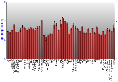 Expression graph
