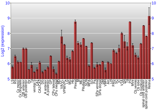 Expression graph