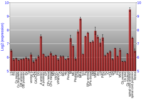 Expression graph
