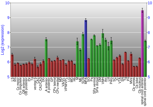 Multi-state expression graph