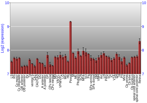 Expression graph
