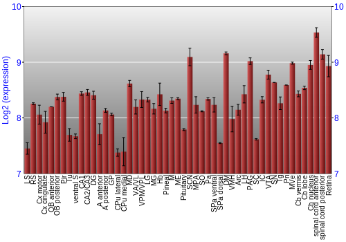 Expression graph