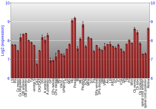Expression graph