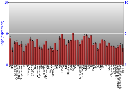 Expression graph