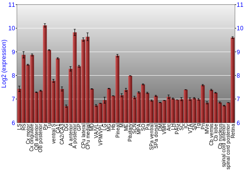 Expression graph