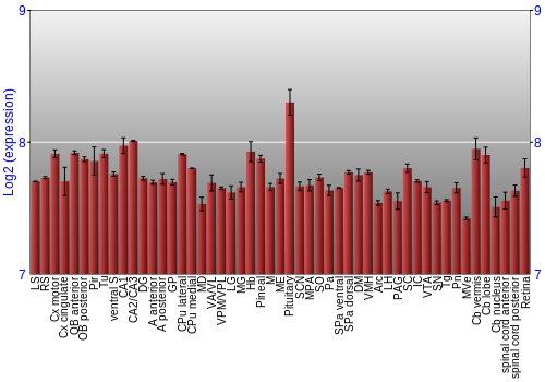 Expression graph