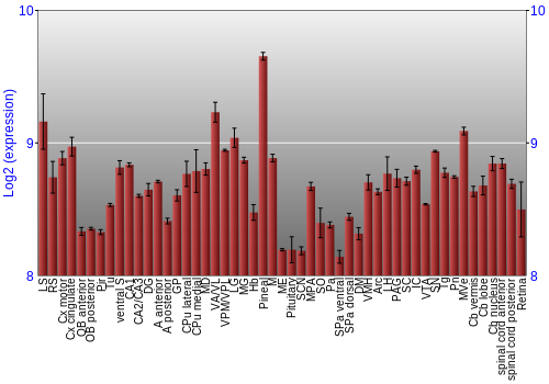 Expression graph
