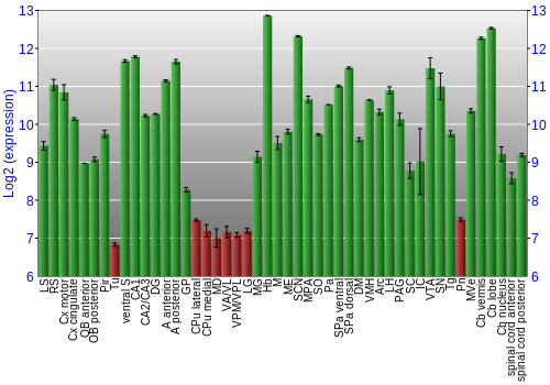Multi-state expression graph