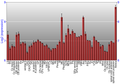 Expression graph