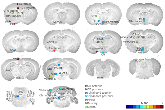 Expression map