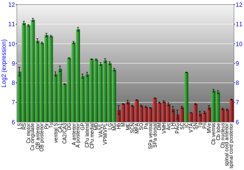 Multi-state expression graph