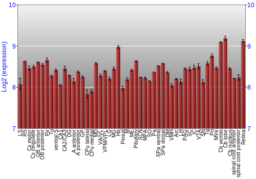 Expression graph