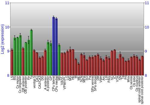 Multi-state expression graph