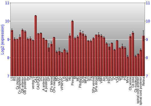 Expression graph