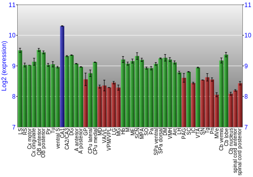 Multi-state expression graph