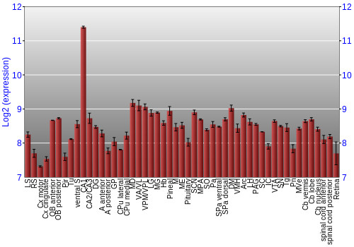 Expression graph