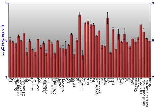 Expression graph