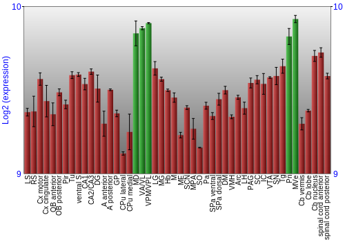 Multi-state expression graph