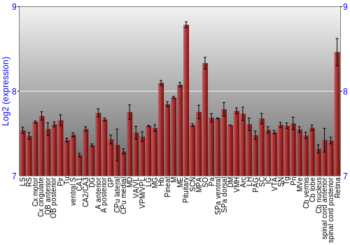 Expression graph