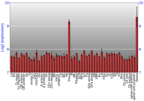 Expression graph