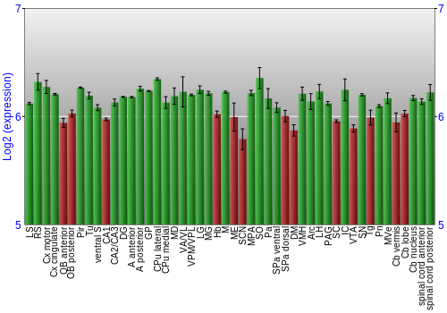 Multi-state expression graph