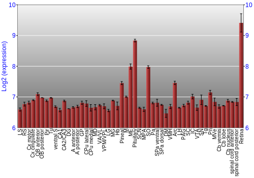 Expression graph