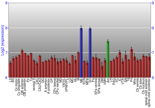 Multi-state expression graph