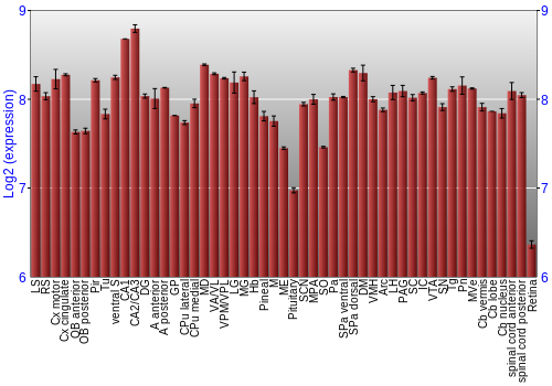 Expression graph