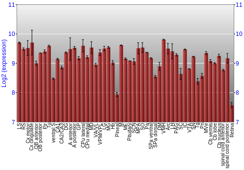 Expression graph
