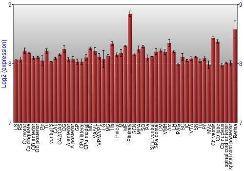 Expression graph