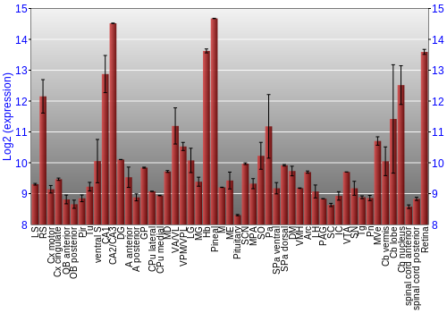 Expression graph