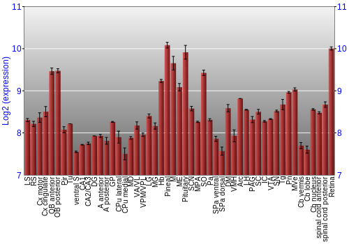 Expression graph