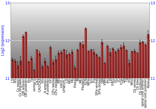 Expression graph