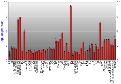 Expression graph