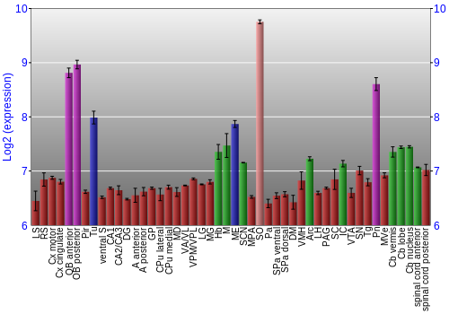 Multi-state expression graph