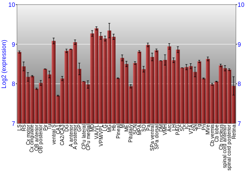 Expression graph