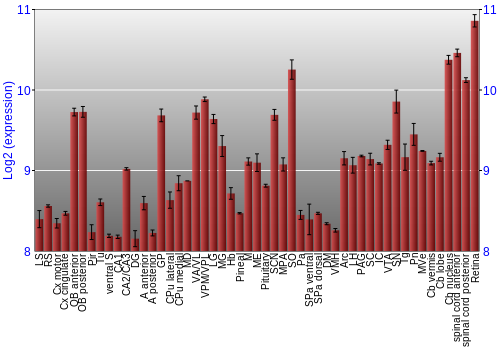 Expression graph
