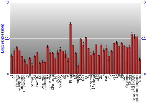 Expression graph