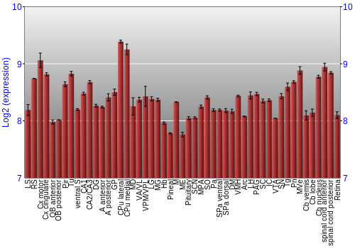 Expression graph