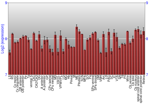 Expression graph