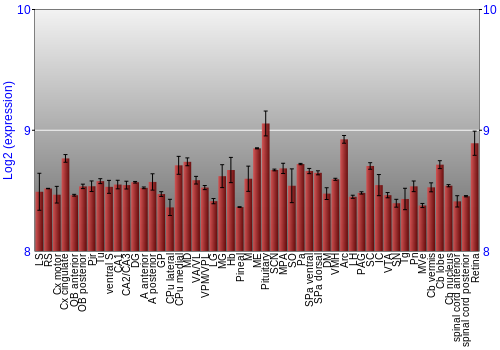 Expression graph