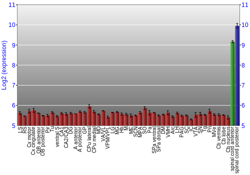 Multi-state expression graph