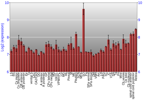 Expression graph