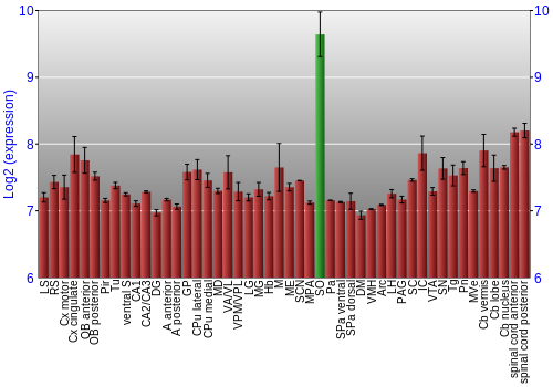 Multi-state expression graph