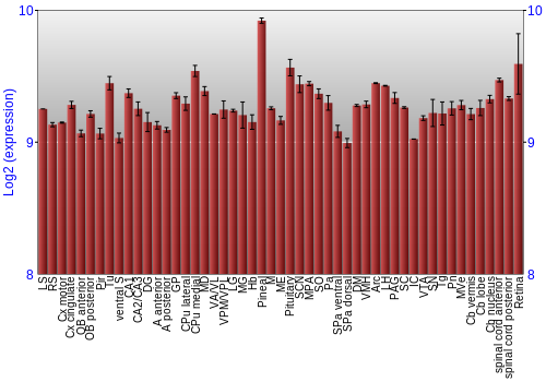 Expression graph
