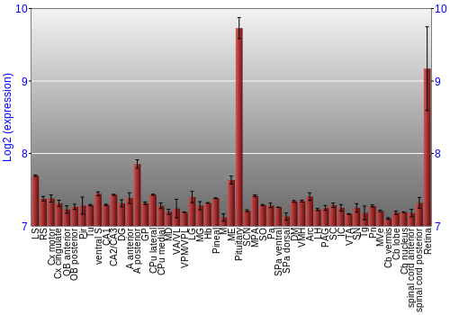 Expression graph