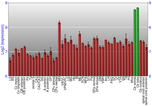 Multi-state expression graph