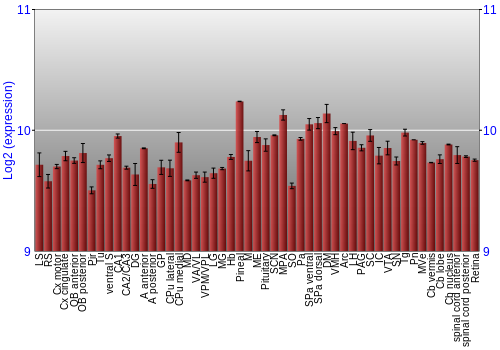 Expression graph